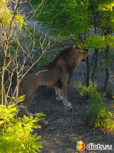 12 ����: ���� ����� "������"