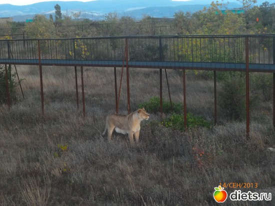 14 ����: ���� ����� "������"