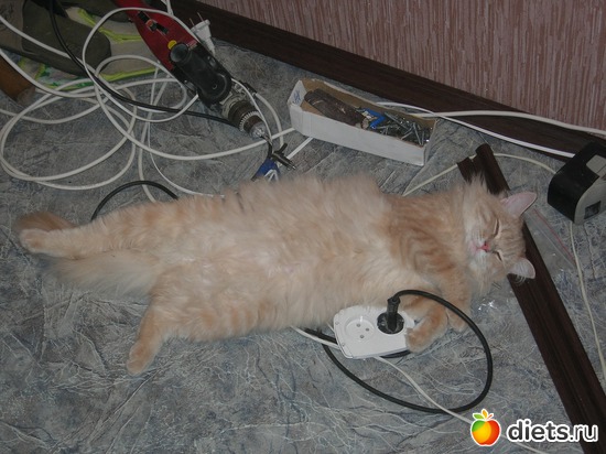 3 ����: ����