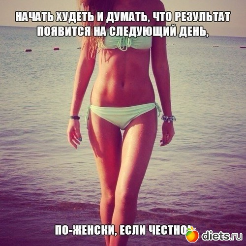 38 ����: ���������