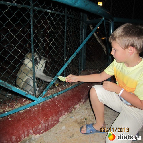 19 ����: ������ 2013