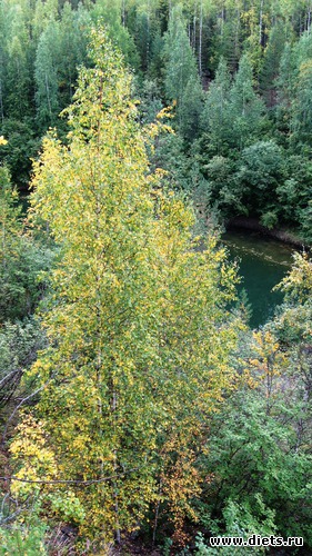 8 фото: природа меня окружающая