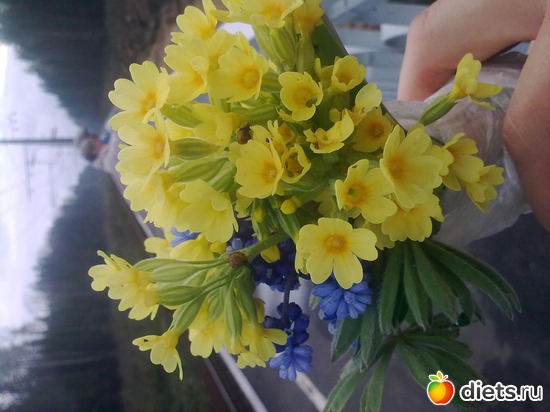 1 ����: ����������