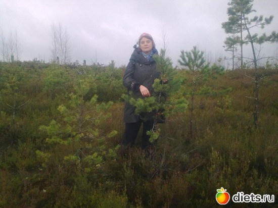 4 ����: ����������