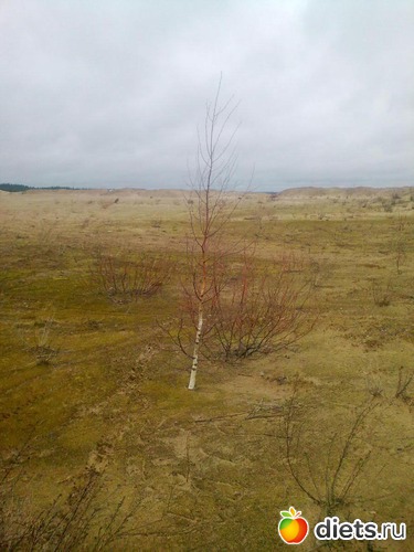 6 ����: ����������