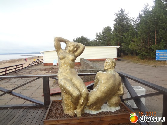 1 ����: ����