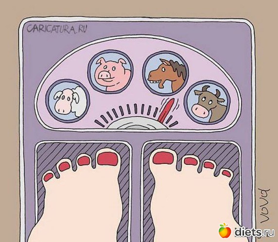 3 ����: ������� �����!