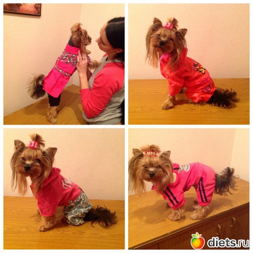 11 ����: ������