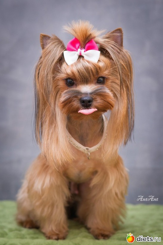 15 ����: ������