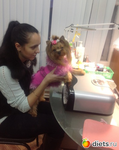 16 ����: ������