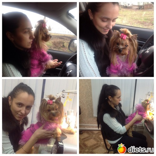 17 ����: ������