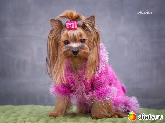 18 ����: ������