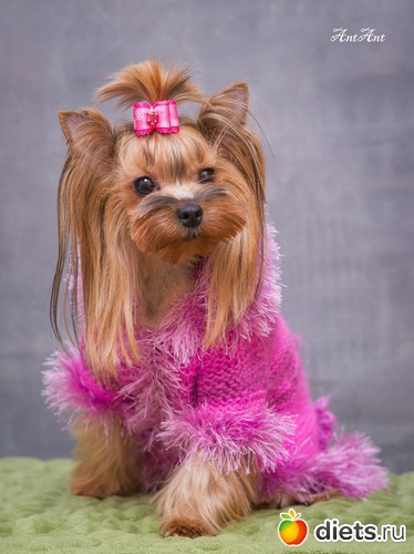 19 ����: ������