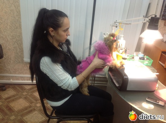 20 ����: ������