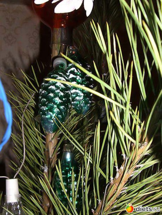 102 ����: ���