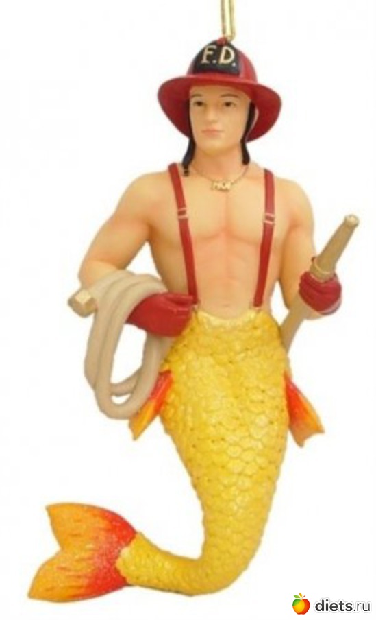 24 ����: �����