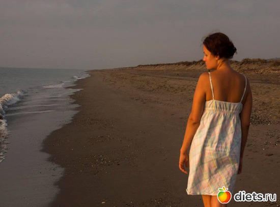 3 ����: �.����������,���� 2013,�������