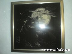 мои начинания