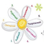 Отчет за 2 день лепестков