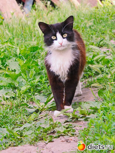 6 фото: Фото мои