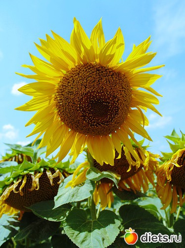 9 фото: Фото мои