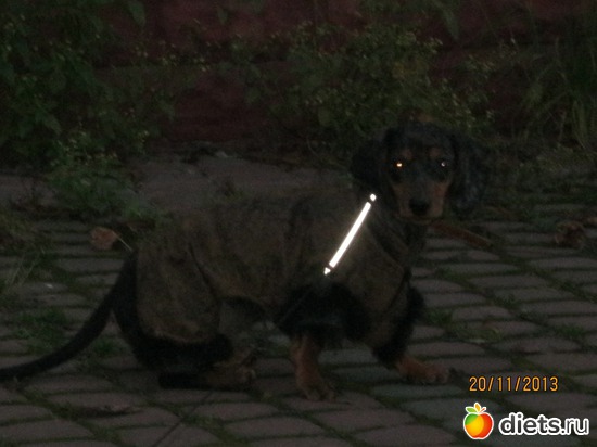 8 ����: ����� 2013 � ������...