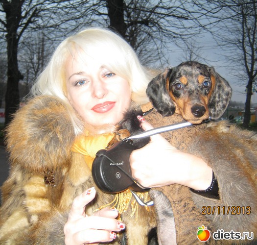 11 ����: ����� 2013 � ������...