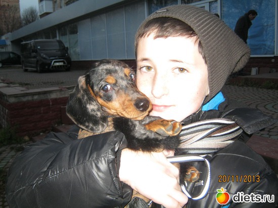 12 ����: ����� 2013 � ������...