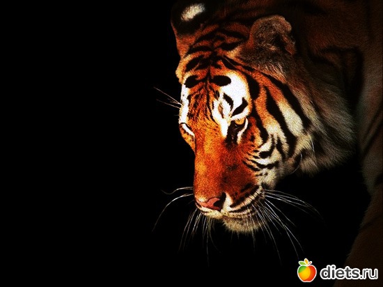 6 ����: �����