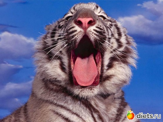 9 ����: �����