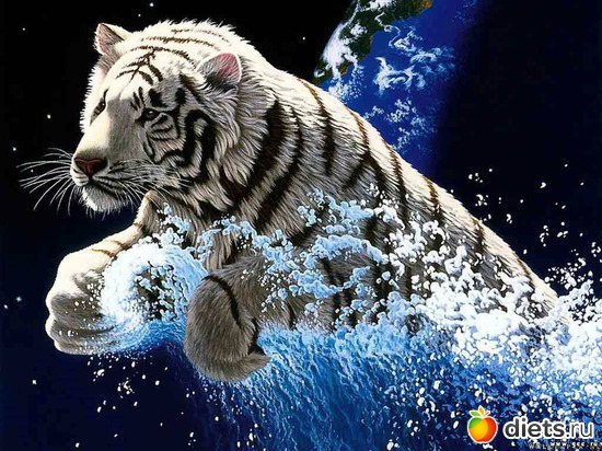 16 ����: �����