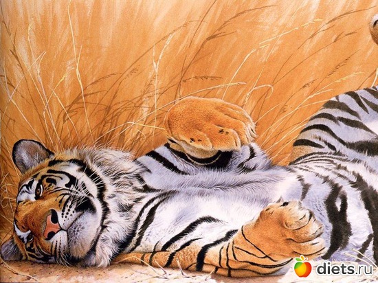 21 ����: �����