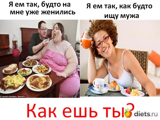 ��� ��� ��?, ������: �����- �����-������- �����