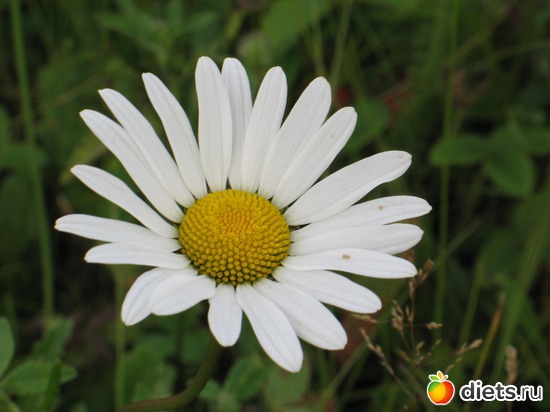 5 ����: ��� ����