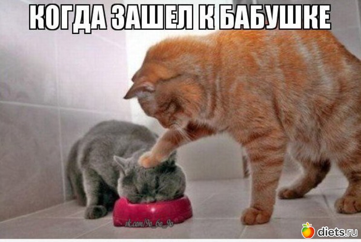 39 ����: ���������