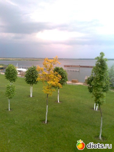 1 ����: �������