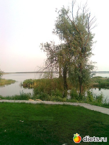 2 ����: �������