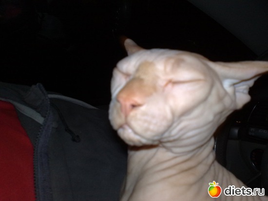 ���� ������, ������: �