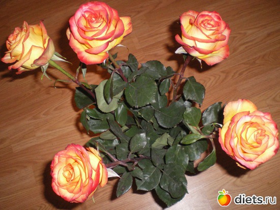 ����� �� ����� �� ��� ����), ������: ������)))