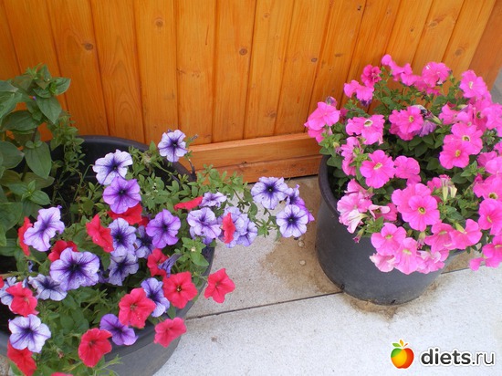 6 ����: ������)))