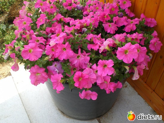 7 ����: ������)))