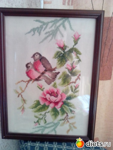 7 ����: ������