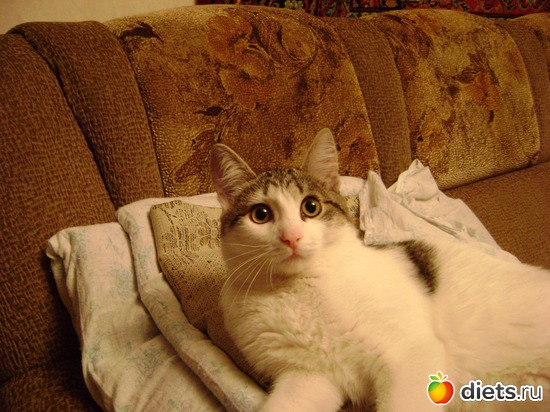 1 ����: ������