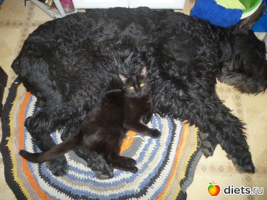 39 фото: Мои мальчишки