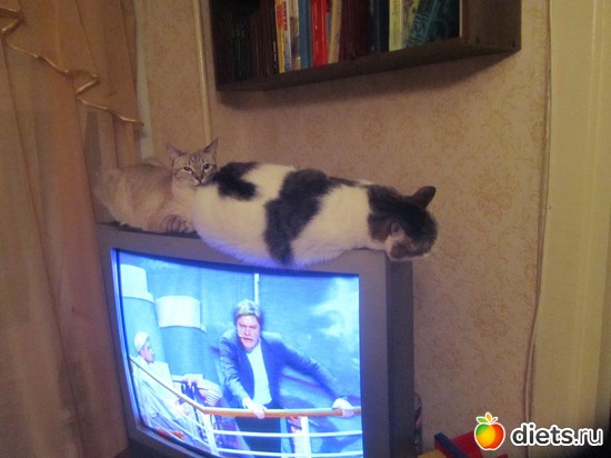 2 ����: ������