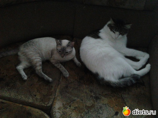 3 ����: ������