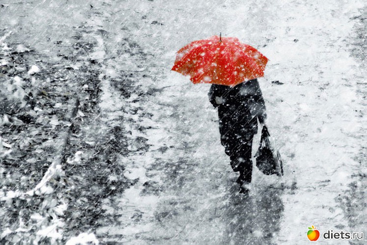 42 ����: ����