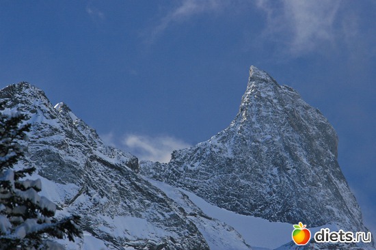 23 ����: ������