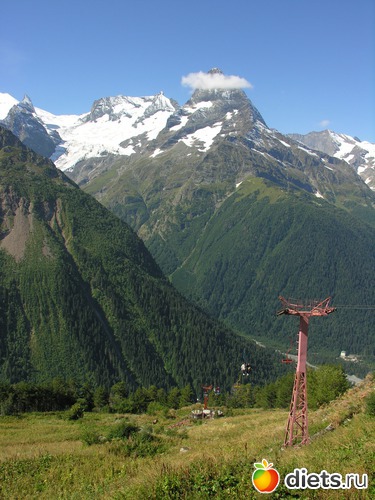 24 ����: ������