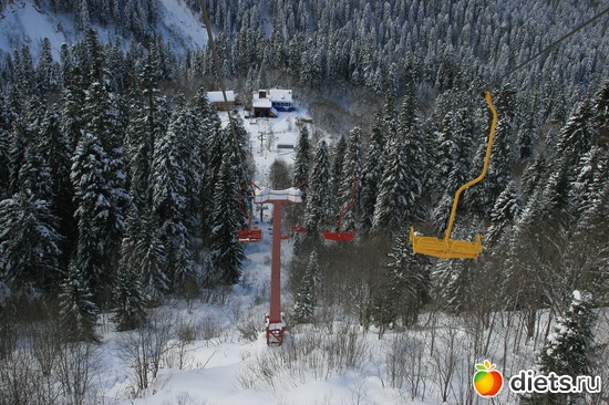 25 ����: ������